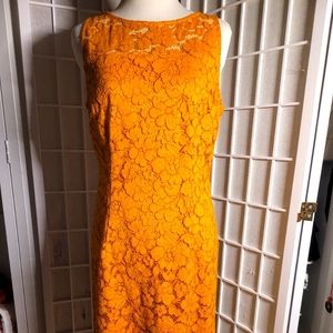 Chartreuse Lace Dress